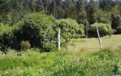 Collipulli ruta 49 Km 34
